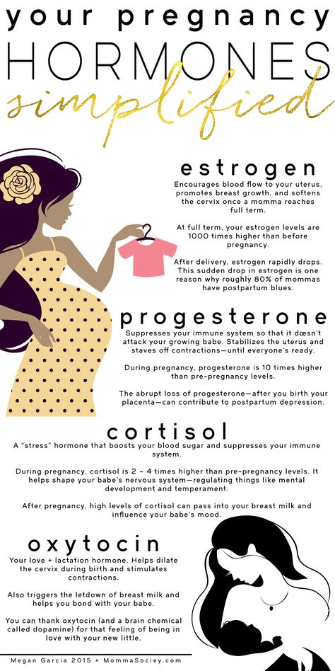 Your Pregnancy Hormones-Simplified. | Momma Society-The Community of Modern Moms | www.mommasociety.com Postpartum Blues, Obstetrics Nursing, Pregnancy Chart, Labor Tips, Birth Worker, Midwifery Student, Doula Care, Natural Childbirth, Wider Hips