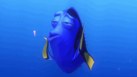 Dory-Squishy-Finding-Nemo Hank Finding Dory, Flower Personality, Personality Board, Finding Nemo 2003, Disney Finding Nemo, Jellyfish Tattoo, Star Wars Disney, Oh Snap, 8th Sign