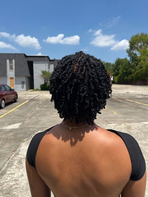 Passion Twists Natural Hair Short, Short Twists Natural Hair, Mini Twists Natural Hair, Thick Natural Hair, Natural Hair Treatments, Two Strand Twist, Protective Hairstyles For Natural Hair, Grow Long Hair, Quick Natural Hair Styles