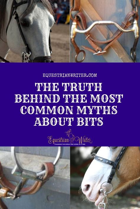 Horse Maintenance, Bits For Horses, Homestead Livestock, Training Horses, Farming Ideas, Horse Skull, Horse Information, Dressage Training, Riding Tips