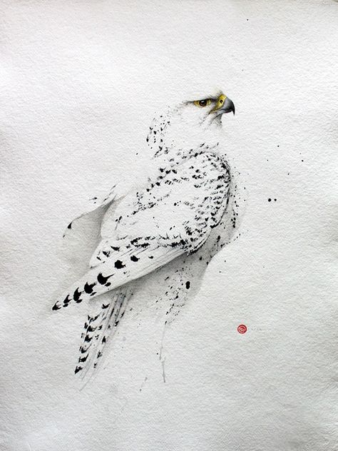 Karl Mårtens | Artistes et créateu... Karl Martens, Bird Reference, Illustration Manga, Watercolor Birds, 수채화 그림, Cat Air, Scientific Illustration, Watercolor Inspiration, Watercolor Bird