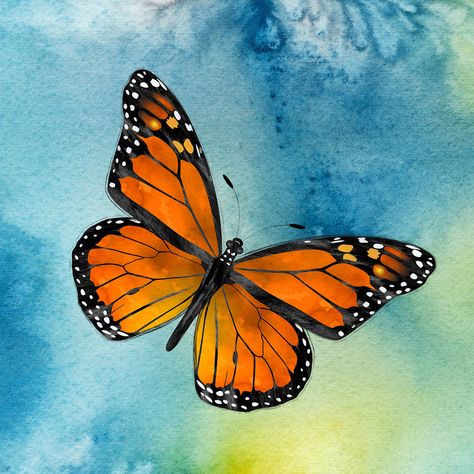 Monarch Butterfly Flying, Monarch Butterfly Watercolor, Monarch Butterflies Art, Butterfly Flying, Butterfly Art Drawing, Art Papillon, Artsy Ideas, Butterfly Art Painting, Butterfly Illustration