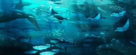 Teal Banner Discord Gif, Gifs Aesthetics, Notion Decor, Teal Banner, Discord Header, Ocean Gif, Fish Banner, Blue Header, Underwater Background