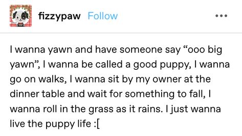 Petspace Puppy, Puppy Boy Oc, Pup Space, Petregre Puppy, Puppy Play Aesthetic, Pup Play, Pup Regressor, Puppyboy Aesthetic, Pup Play Aesthetic