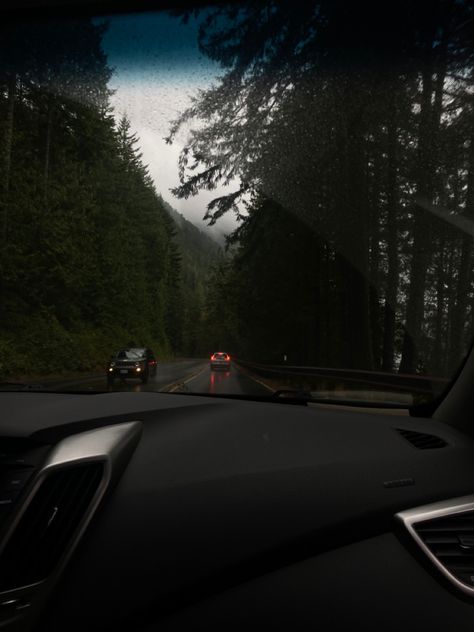 Washington Astethic, Washington Forks Aesthetic, Forks Washington Aesthetic, Twilight Weather, Washington Forks, Dark Pnw Aesthetic, Washington Aesthetic, Rainy Pnw Aesthetic, Rainy Vancouver Aesthetic