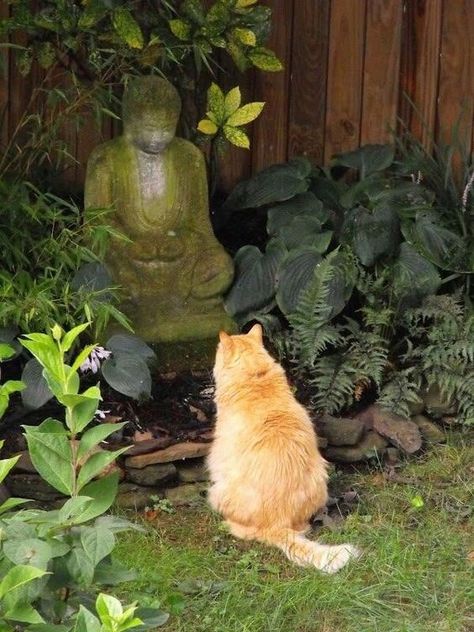 Cats Who Found Peace By Becoming Friends With Statues Buddha Statues, Buddha Statue, Statue, Orange, Plants