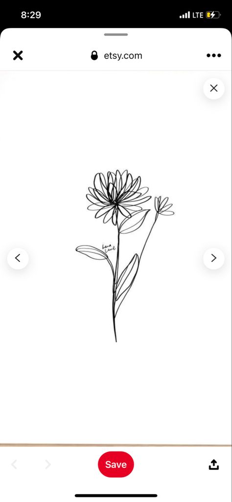 Chrysanthemum One Line Drawing, One Line Chrysanthemum Tattoo, Single Line Chrysanthemum Tattoo, Simple Chrysanthemum Tattoo Outline, November Flower Tattoo Simple, Fineline Chrysanthemum Tattoo, Chrythansemum Tattoo, Chrysanthemum Line Drawing, Chrysanthemum Line Tattoo