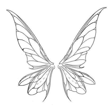 Enchantix Wings, Fairy Reference, Fairy Wings Tattoo, Drawing Fairies, Fairy Wings Drawing, Beautiful Butterfly Images, Fairy Wing Tattoos, Winged Stencil, How To Draw Characters