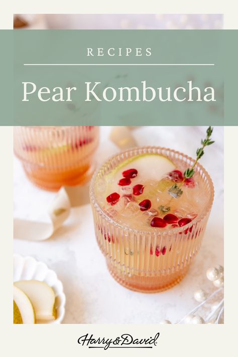 Quench your thirst with this easy pear kombucha recipe! 🍐🍹 Plum Kombucha, Flavored Kombucha Recipe, Pear Kombucha, Alcoholic Kombucha, Health Ade Kombucha, Harry & David, Kombucha Recipe, Pear Recipes, Pomegranate Seeds