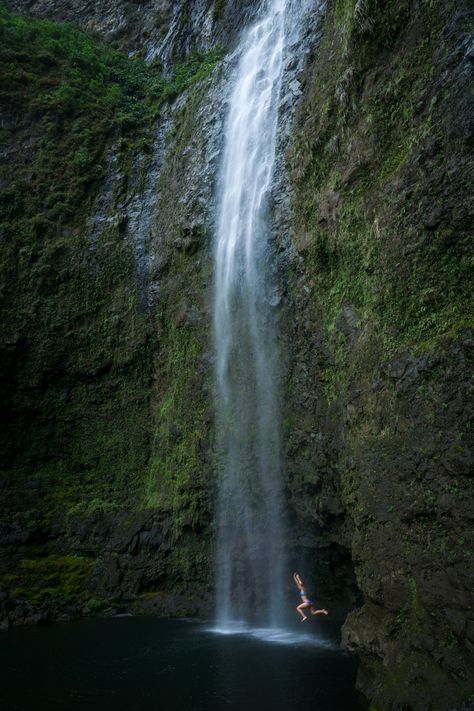 Distance: 8.0 miles / 12.9 km Located within the first few miles of Kauaʻi’s stunning Nāpali Coast, the Kalalau Trail to Hanakāpīʻai Falls is one of the island’s most beautiful, but also popular, waterfall hikes! For this reason, planning and making this amazing adventure come to reality has bec Napali Coast Kauai, Hawaii Adventures, Napali Coast, Waimea Canyon, Kauai Hawaii, Waterfall Hikes, Helicopter Tour, Garden Tours, Boat Tours