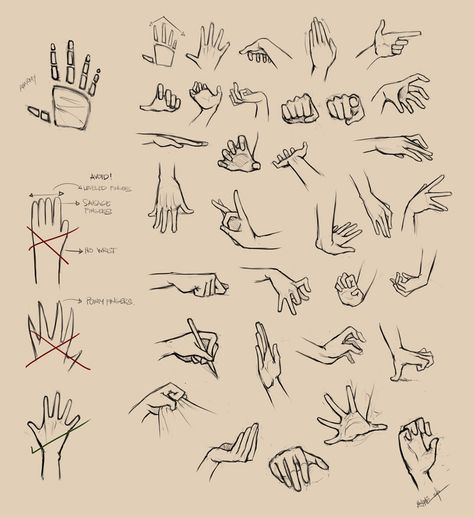 Hand Drawings, Drawing Hands, Výtvarné Reference, 그림 낙서, Seni 2d, Hand Reference, Pose References, 인물 드로잉, Body Anatomy