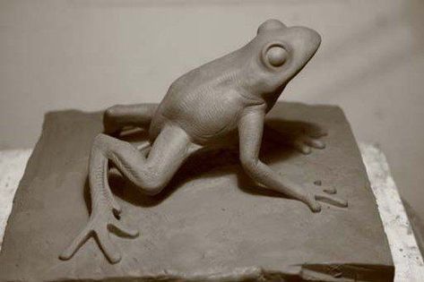 Clay Frogs, Clay Frog, Ceramic Frogs, Pottery Animals, Frog Art, Hand Built Pottery, Clay Animals, Pottery Sculpture, Ceramic Animals