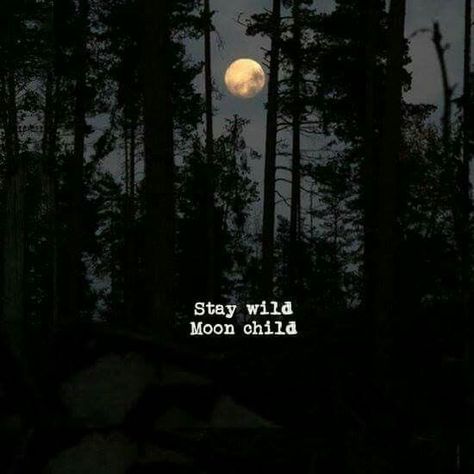 Visit the post for more. Continue A Nadar, Tattoo Moon, Moon Quotes, Stay Wild Moon Child, Wild Moon, Wild Woman, Stay Wild, Visual Statements, The Night Sky