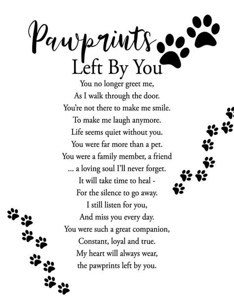 Missing My Pet Dogs, Missing My Puppy Quotes, Poems For Losing A Dog, Remembering Dog Quotes, Missing Pets Quotes Dogs, Poems About Losing A Pet Cat, Rest In Peace Dog Quotes Pets, Grieve Dog Quotes, Losing My Dog Quotes