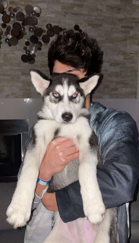 𝙰𝚕𝚊𝚗 𝚂𝚝𝚘𝚔𝚎𝚜 Alan Stokes, Stokes Twins, Star Aesthetic, Cute Dog Wallpaper, Youtube Stars, Dog Wallpaper, Husky, Cute Dogs, Twins