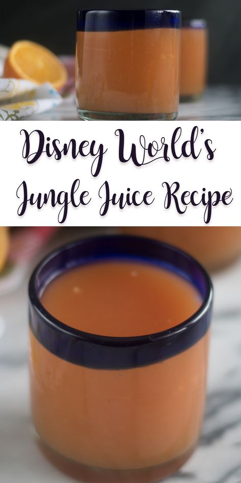 Disney's Jungle Juice Recipe - Thyme & Love Pog Juice, Juice Recipes For Kids, Jungle Juice Recipe, Orange Juice Recipes, Disney Inspired Food, Fruit Juice Recipes, Disney Drinks, Kids Juice, Animal Kingdom Lodge