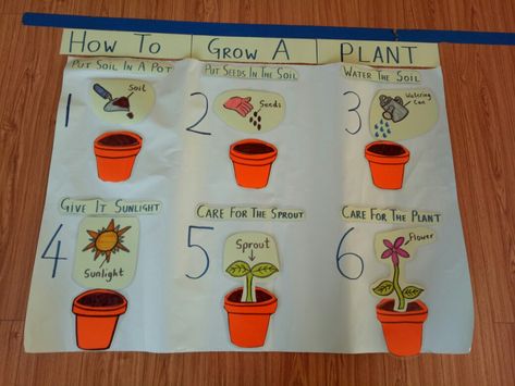 Growing Plants Kindergarten, Preschool Vocabulary Activities, Plants Study, Garden Kindergarten, Garden Preschool, Tk Classroom, Science Center Preschool, Plants Kindergarten, Plant Lessons