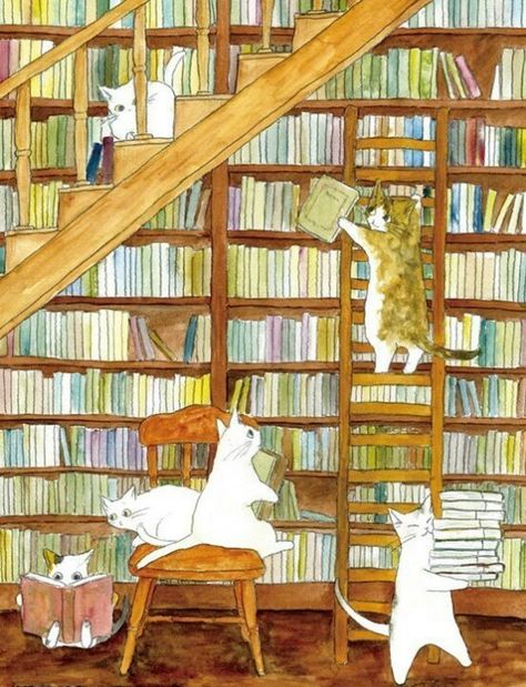 Cat library Cat Reading, 캐릭터 드로잉, Cat Books, World Of Books, Cats Illustration, Arte Animal, 판타지 아트, Book Nooks, Cat Illustration