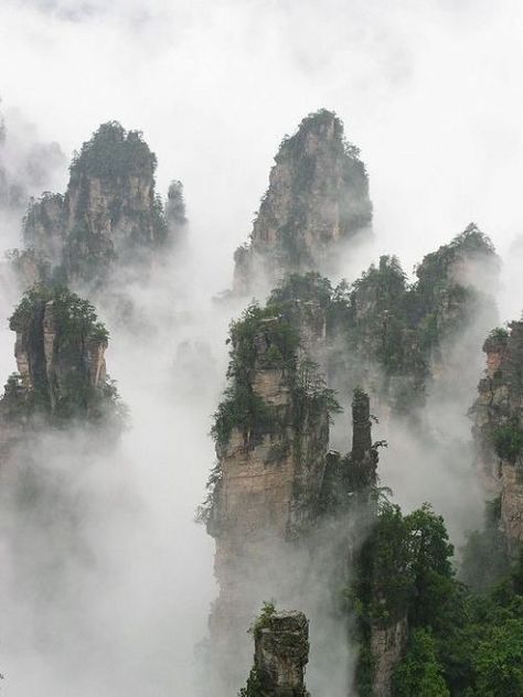 Floating Mountains, Tianzi Mountains, Scifi Environment, Chinese Mountains, Background Reference, Chinese Background, Dark Green Aesthetic, Landscape Photography Tips, Chinese Landscape