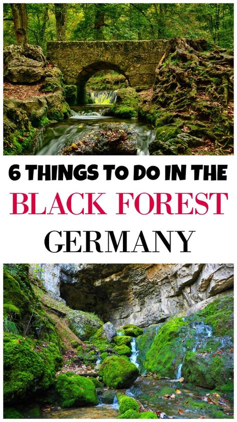 If you’ve booked a trip to the Black Forest, remember it’s not all long walks and beer. Make sure you schedule in some time for unforgettable experiences. Black Forest Vacation, Breisach Germany, Black Forest Germany Travel, German Forest, German Black Forest, Germany Travel Destinations, Moving To Germany, Black Forest Germany, Germany Trip