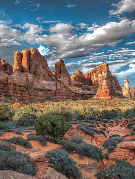 National Parks (@onationalparks) on X High Desert Aesthetic, National Park Aesthetic, Utah Nature, Arizona Aesthetic, Desert Canyon, Canyon Landscape, Desert Nature, Arizona Sunset, Nature Projects