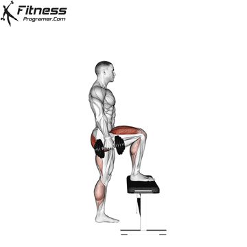 Dumbbell Step Up, Dumbell Stepups, Step Ups With Dumbbells, Step Up Exercises, Step Ups For Glutes, Leg Workout Exercises, Step Up Workout, Strength Training Anatomy, Superman Workout