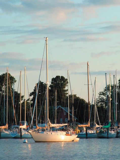 Chesapeake Bay Bridge, Crab House, Floating Dock, Senior Trip, Chesapeake Bay, Water Tower, Best Places To Eat, Bay Bridge, Beach Sand