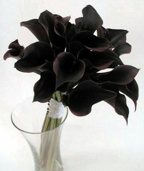 black calla lilies Black Wedding Flowers, Black Calla Lily, Gothic Wedding Theme, Calla Lily Bouquet, Black Wedding Cakes, Unique Bouquet, Lily Bouquet, Black Garden, Black White Wedding