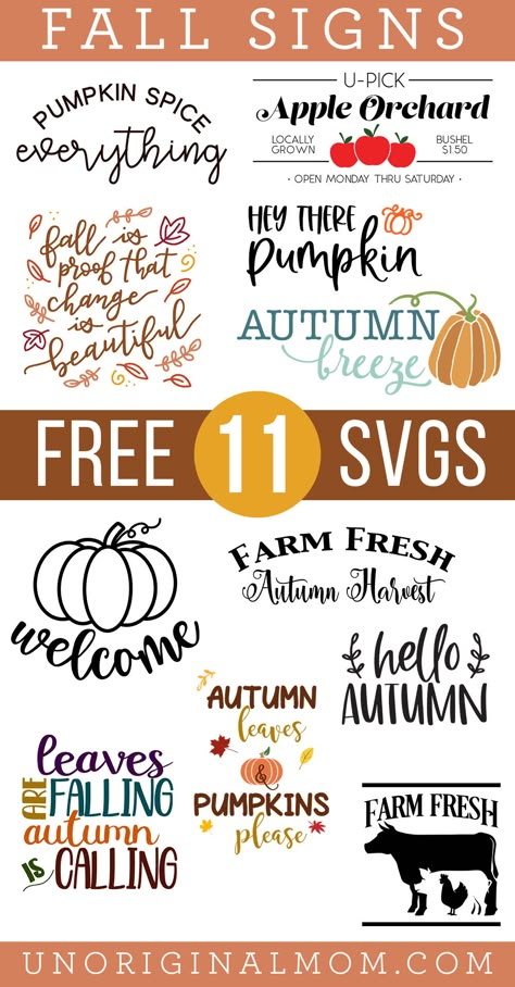 Free Fall Svg Files For Cricut Shirts & Tops, Fall Sign Sayings, Svg Fall Designs Free, Fall Stencils Free Printable, Fall Tshirt Designs Vinyl Svg Free, Fall Words Signs, Fall Is Proof That Change Is Beautiful, Fall Svgs Free, Cute Fall Signs