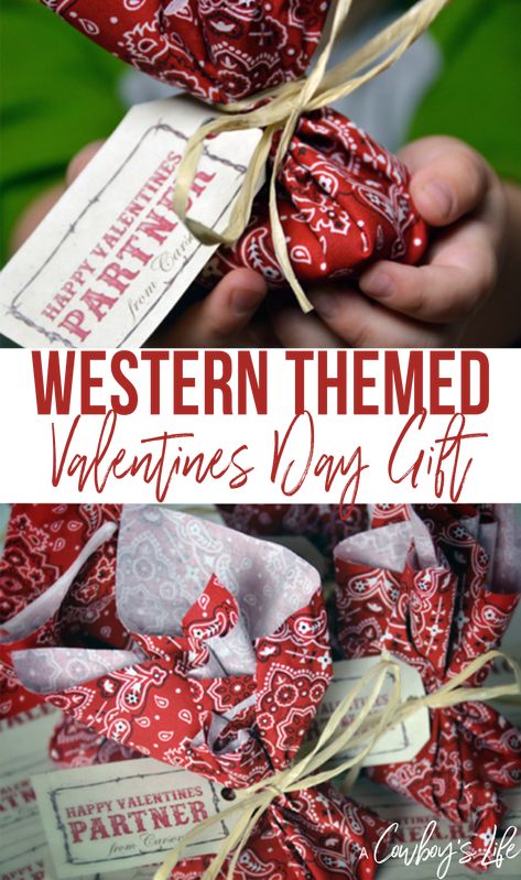 This adorable western valentine is the perfect gift for your little cowboy or cowgirl! It’s inexpensive and can also work with any plain fabric you already have on hand. Cowboy Valentine Ideas, Ffa Valentines, Western Valentines Decor, Cowboy Valentine Cards, Classroom 2nd Grade, Valentine Preschool, Horse Valentine, Valentine Goodies, Kids Gratitude Journal