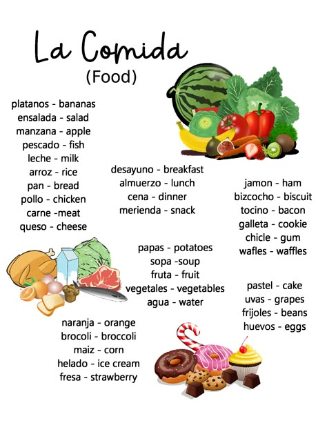 Food (SPANISH) ~ Anchor Chart * Jungle Academy Spanish Language Basics, Learn Spanish Apps, Teaching Colors In Spanish, Spanish 2 High Schools, Learning Mexican Spanish, Learn Mexican Spanish, How To Learn Spanish, Spanish Basics Learning, Spanish Language Learning Worksheets