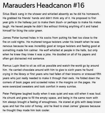 Marauders Headcanons Remus Lupin, Remus Lupin House, Peter Pettigrew Headcanons, Sirius And Remus Headcanons, Marauders Headcanons Wolfstar, James Potter Headcanons, Remus Lupin Headcanon, James Potter Headcannons, Sirius Black Headcanon