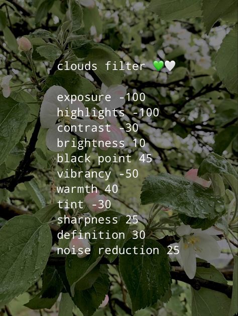 clouds filter Nature Filter Camera Roll, Ios Presets, Aesthetic Camera Roll, Phone Filters, Pic Filters, Picture Filters, Filter Settings, Camera Editing, Editing Filters