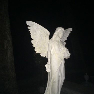 Adulting scares the shit out of me #indie #aesthetic #grunge Arte Alien, Angel Statue, Southern Gothic, Angel Aesthetic, Melodrama, The Villain, American Horror Story, An Angel, Grunge Aesthetic