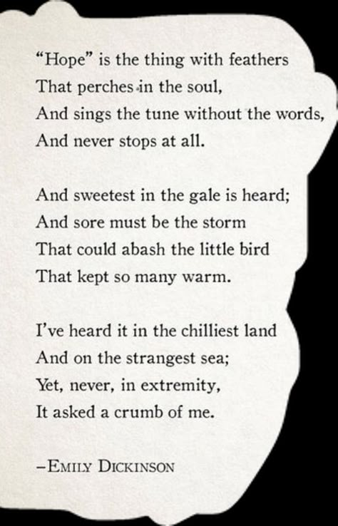 Poem by Emily Dickinson Emily Dickinson Love Poems, Emily Dickinson Quotes, Dickinson Poems, Emily Dickinson Poems, Hope Is The Thing With Feathers, Terry Pratchett, Emily Dickinson, Love Poems, Mississippi