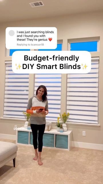 Budget Blinds Ideas, Blinds And Curtains Together Living Room, Living Room Blinds Ideas, Diy Window Blinds, Building Hacks, Window Blinds And Shades, Dining Room Window Treatments, Smart Blinds, Zebra Shades