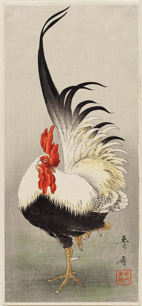 Japanese Rooster Art, Birds Japanese Art, Japanese Ink Art Illustrations, Japanese Bird Illustration, Japanese Art Prints Traditional, Japanese Rooster Tattoo, Japanese Painting Traditional, Japanese Animal Art, Japanese Rooster