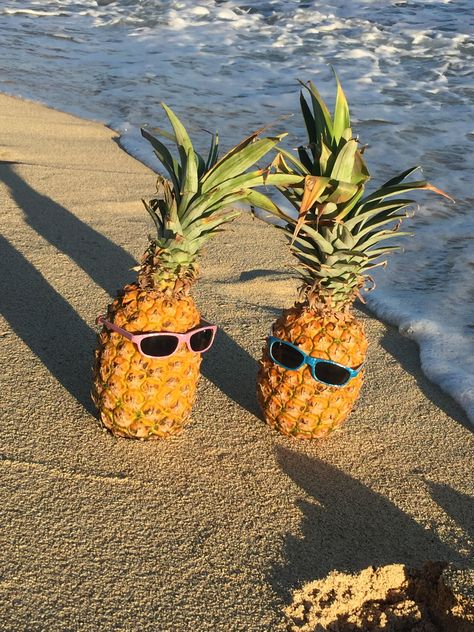 Kook Summer, Pineapple Aesthetic, Beach Widgets, 2024 Era, 2025 Summer, Beaches Film, Blue Neon Lights, Pineapple Wallpaper, Playlist Ideas