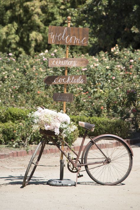 Wedding Bike Decoration, Orcutt Ranch Wedding, Bike Decorating Ideas, Bike Wedding Decor, Vintage Bicycle Decor, Wedding Bike, Vintage Bike Decor, Bicycle Themed Wedding, Vintage Flower Decor