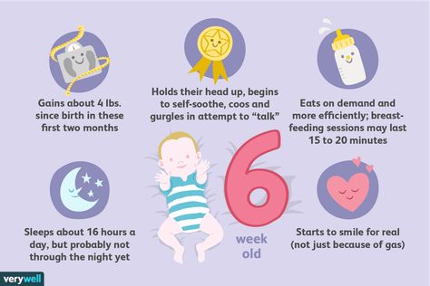 Your 6-Week-Old Baby’s Development 1 Month Baby Milestones, 2 Month Baby Milestones, 6 Weeks Old Baby, Milestones Quotes, Faint Positive Pregnancy Test, Baby Development Milestones, Baby Milestone Chart, 5 Month Old Baby, 1 Month Baby