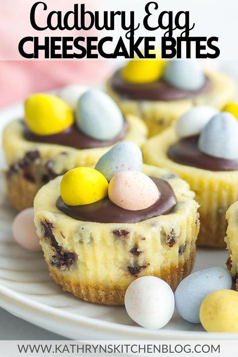 Cadbury Egg Cheesecake Bites Cadbury Egg Cheesecake, Mini Egg Recipes, Mini Eggs Cake, Easter Cheesecake, Easy Easter Desserts, Mini Cheesecake Recipes, Chocolate Chip Cheesecake, Sweet Treats Desserts, Easter Desserts Recipes