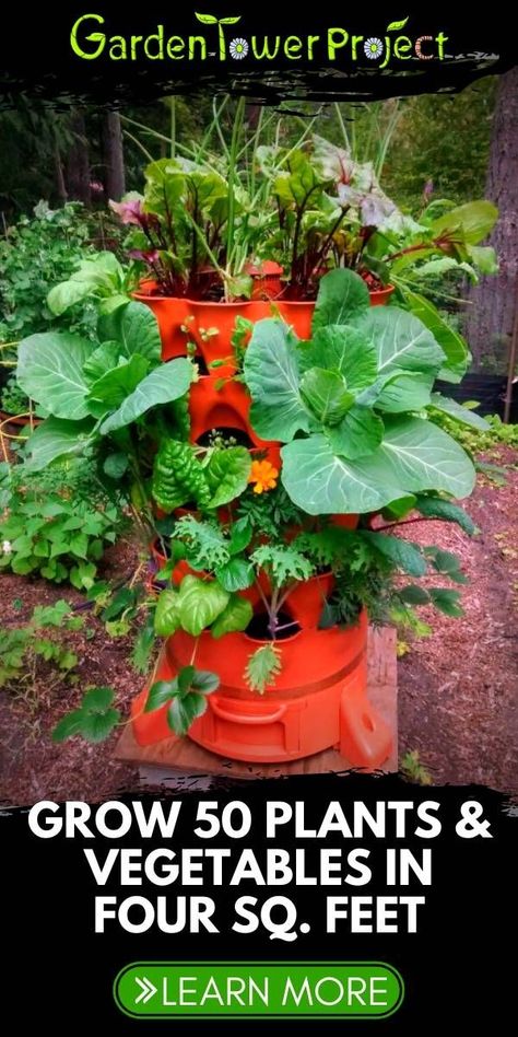 Stacked Garden, Grow Radishes, Container Vegetable Gardening, Greenhouse Tips, Grow Okra, Vegetable Gardening Ideas, Grow Lemongrass, Grow Lettuce, Fast Growing Vegetables