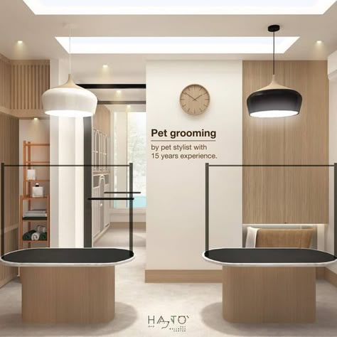 Pet Hotel Design, Dog Grooming Salon Ideas, Dog Grooming Salon Decor, Pet Grooming Shop, Grooming Salon Ideas, Dog Hair Dye, Pet Store Design, Pet Store Ideas, Grooming Salons