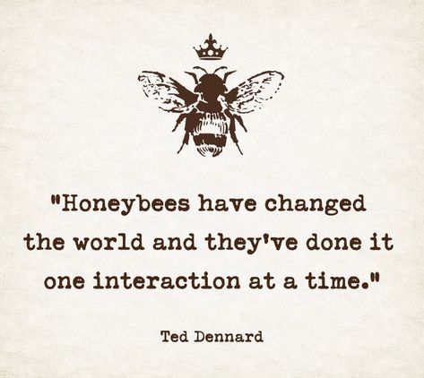 Bees Quotes, Honeybee Quotes, Bee Quotes Wisdom, Herbalism Quotes, Honey Bee Quotes Inspiration, Bee Sayings, Quotes About Bees, Beekeeping Quotes, Be Like A Bee Quote