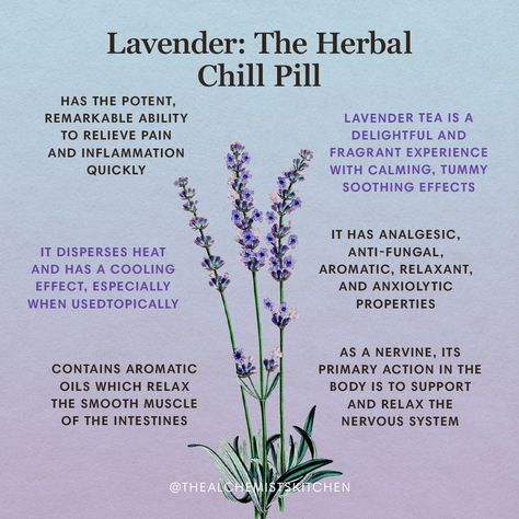 Magickal Herbs, Medical Herbs, Magic Herbs, Magical Herbs, Herbal Apothecary, Natural Healing Remedies, Healing Plants, Herbal Healing, Chill Pill