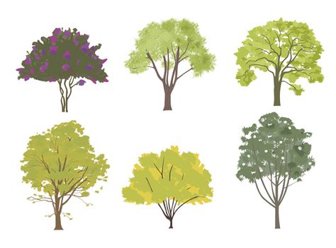 Choosing the Right Tree —  A Simple Planting Guide for the Portland Area Tree Illustration Simple, Architectural Trees, Simple Architecture, Tree Drawing Simple, Tree Cutout, Tree Photoshop, Planting Guide, Simple Tree, Illustration Simple