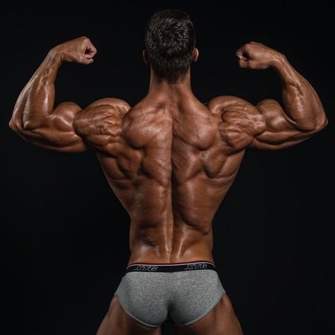 Muscular Back Reference, Gym Physique, Muscular Back, Best Bodybuilding Supplements, Muscular Male, Latissimus Dorsi, Bodybuilders Men, Fitness Guide, Natural Bodybuilding