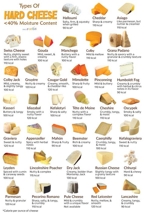 Hard Cheeses List, Cheese Knowledge, Carnivores Diet, Fantasy Cookbook, Cheese List, Culinary Basics, Type Of Cheese, Food Lessons, Smoked Cheese