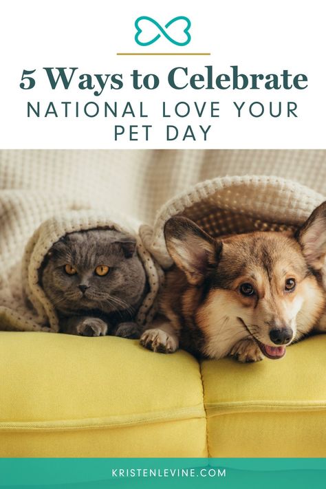 Showing love to our fur family means more than tummy rubs and kisses. Read these five ways to show your pet you love them. #loveyourpetdaynational #petlover #petlove #loveyourpet #nationalloveyourpetday February Home Decor, Papillion Puppies, National Love Your Pet Day, Love Your Pet Day, Shopify Sales, February 2025, Cat Parents, National Pet Day, Showing Love