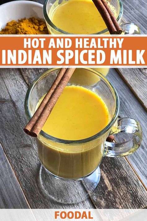 Warm and nourishing, this Indian spiced milk is the perfect hot beverage for a cold morning, or to help you relax before heading to bed. Made with a handful of health-promoting spices such as cinnamon and turmeric, it provides a boost of antioxidants with a hint of sweetness from raw honey. #turmeric #hotdrinks #foodal Spiced Milk, Milk Ideas, Indian Milk, Honey Turmeric, Autumn Breakfast, Healthy Nutrition Plan, Holistic Recipes, Brown Spots Removal, Summer Eating